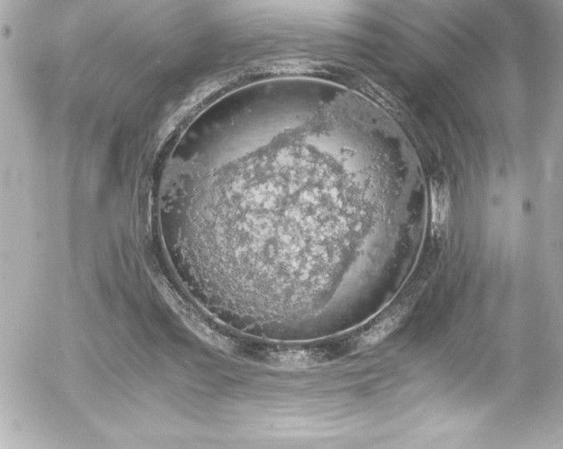 X0000056000301200508191330