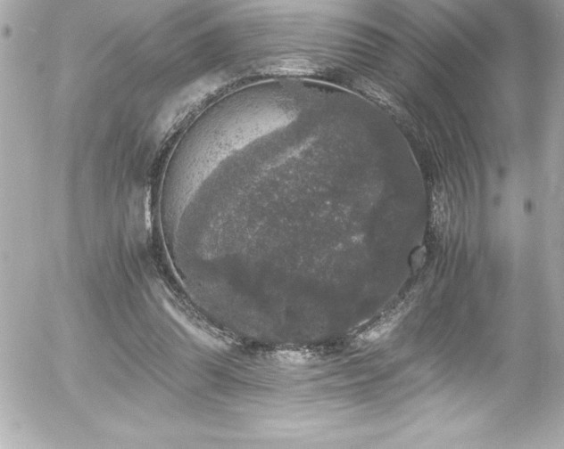 X0000056000302200508191330