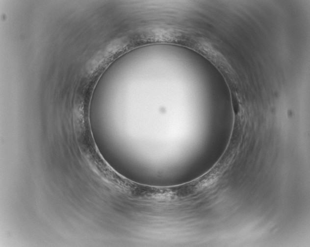 X0000056000306200508191330