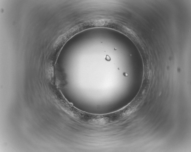 X0000056000307200508191330