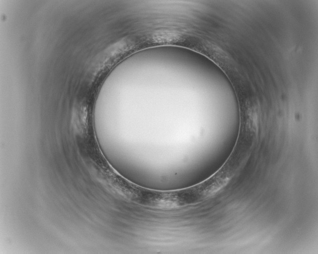 X0000056000308200508191330