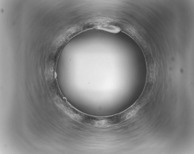 X0000056000309200508191330