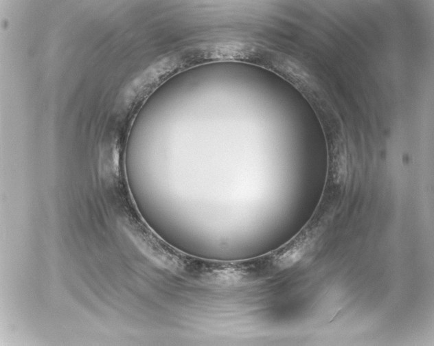 X0000056000310200508191330