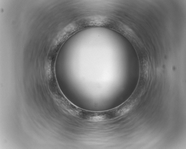 X0000056000312200508191330