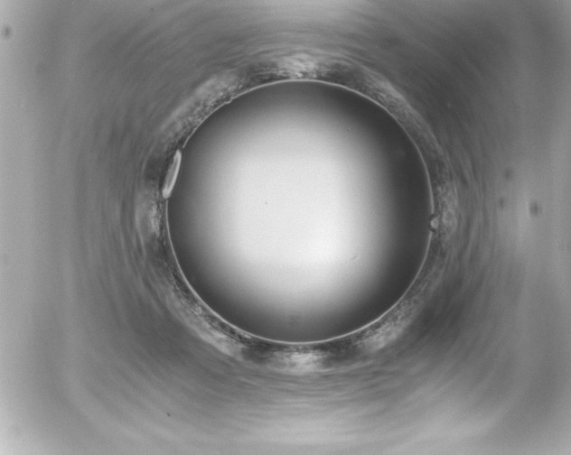 X0000056000313200508191330