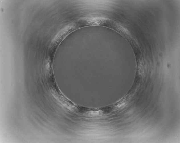 X0000056000314200508191330