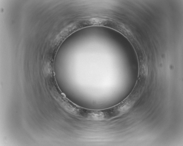 X0000056000317200508191330