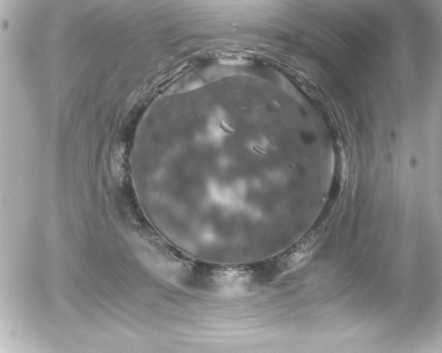 X0000056000319200508191330