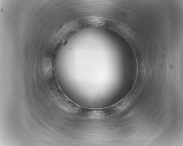 X0000056000320200508191330