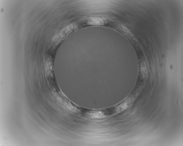 X0000056000322200508191330