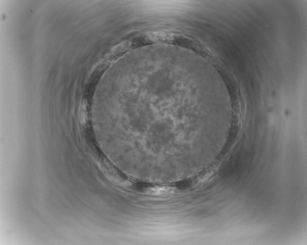 X0000056000323200508191330