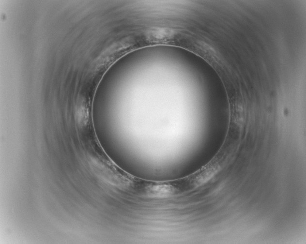 X0000056000324200508191330