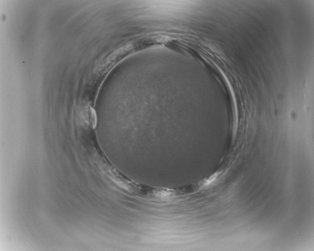 X0000056000325200508191330