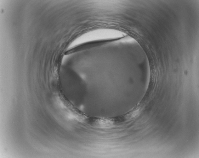 X0000056000327200508191330