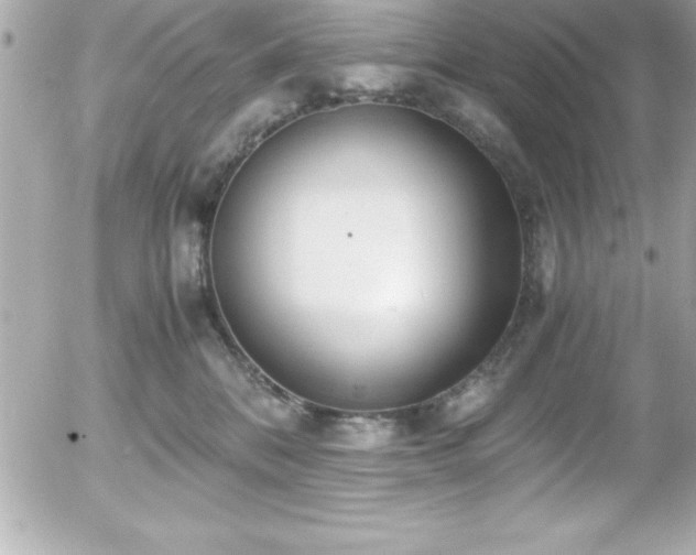 X0000056000328200508191330