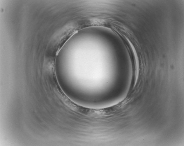 X0000056000329200508191330