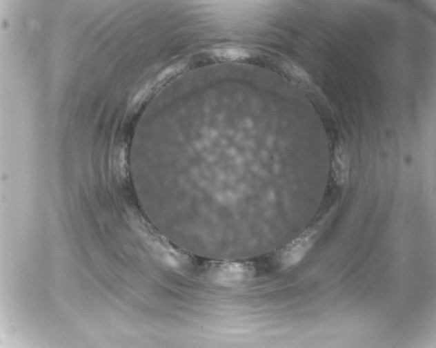 X0000056000330200508191330