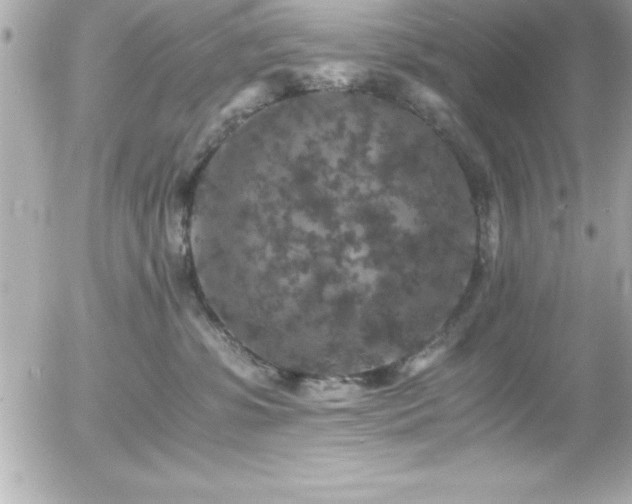 X0000056000331200508191330