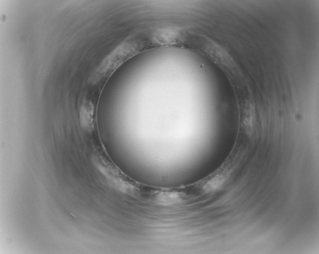 X0000056000332200508191330