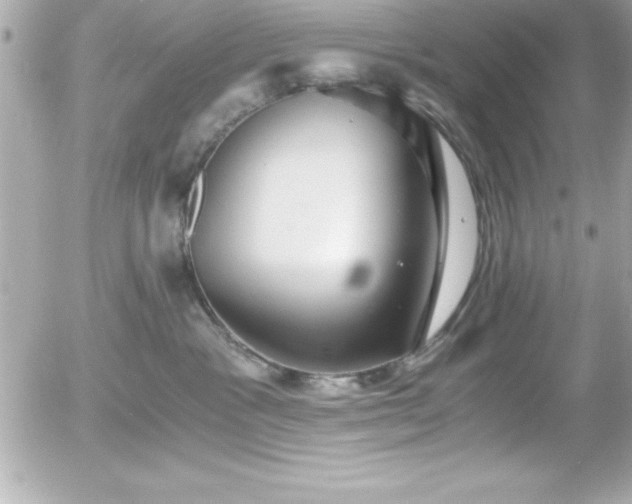 X0000056000333200508191330