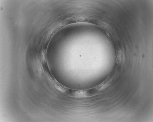 X0000056000335200508191330