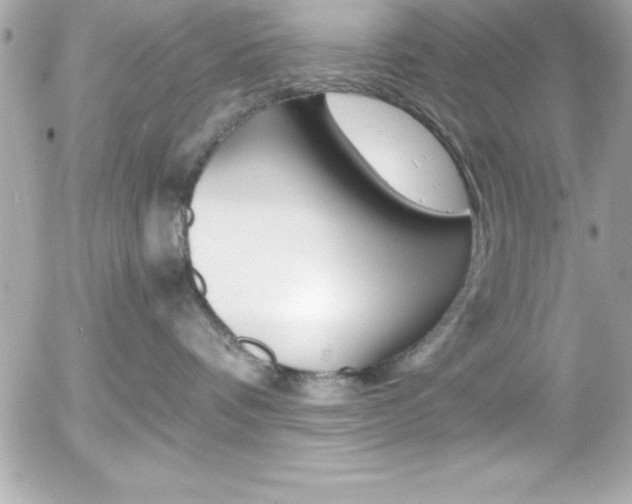 X0000056000336200508191330