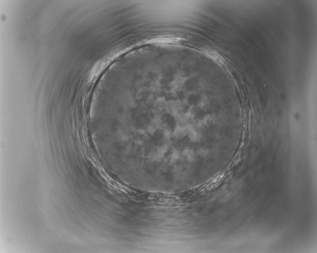 X0000056000337200508191329