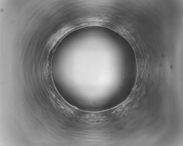 X0000056000338200508191329