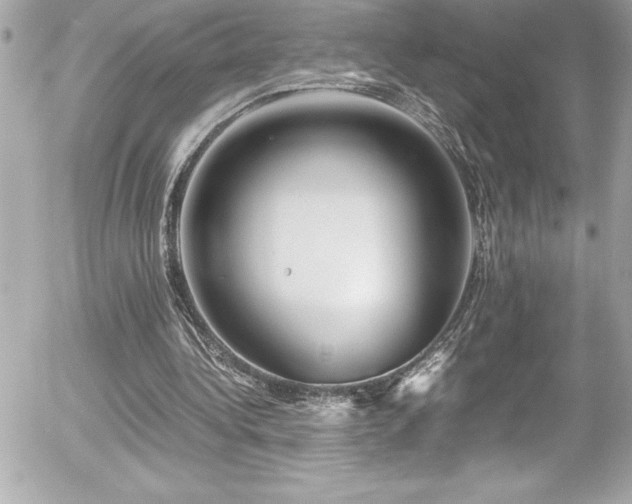 X0000056000340200508191329