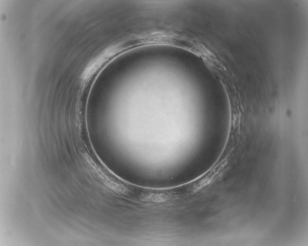 X0000056000341200508191329