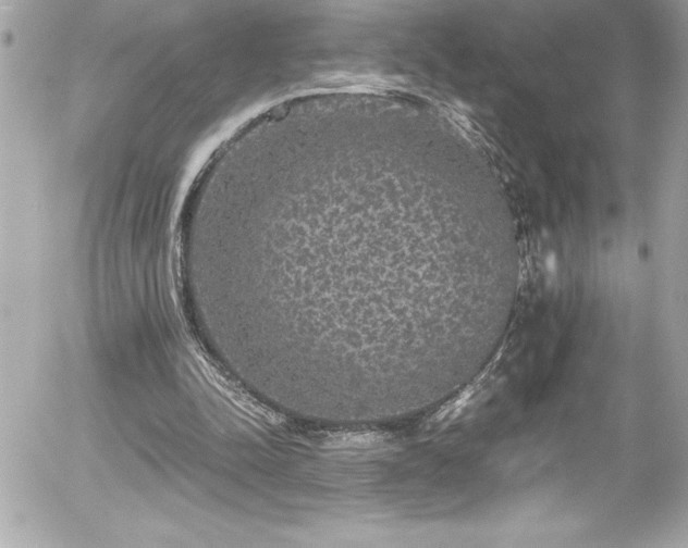 X0000056000342200508191329