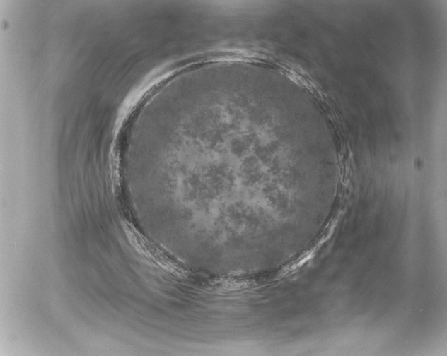 X0000056000343200508191329