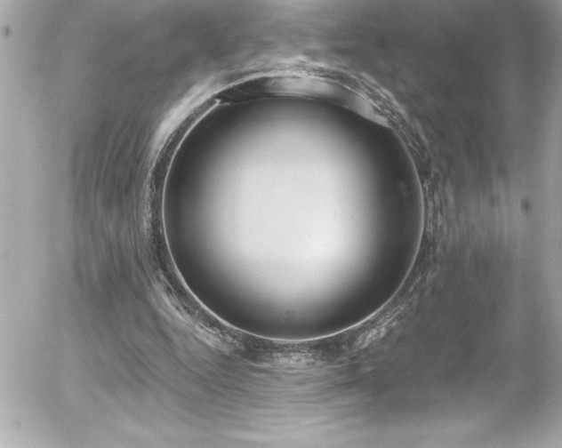 X0000056000344200508191329