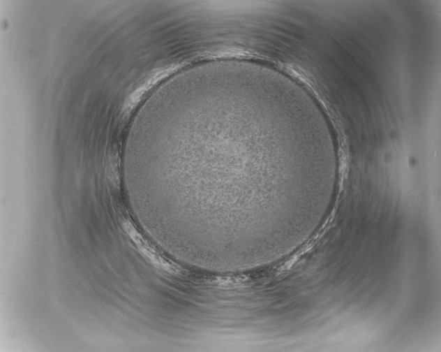 X0000056000345200508191329