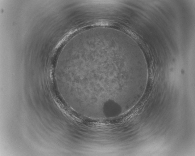 X0000056000347200508191329