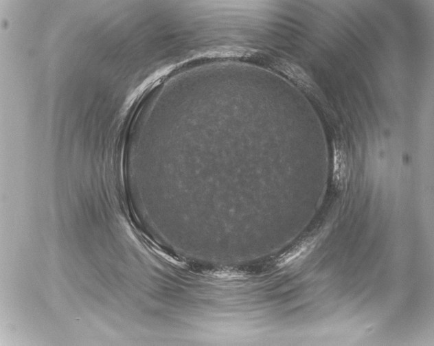 X0000056000348200508191329