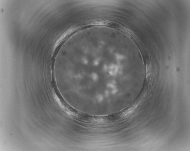 X0000056000349200508191329