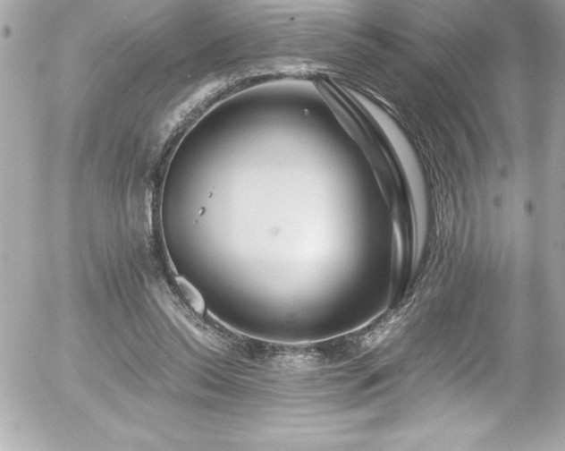 X0000056000350200508191329