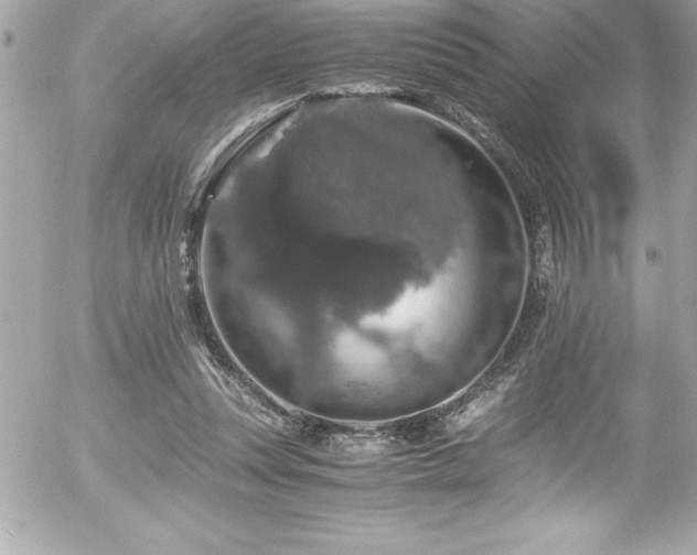 X0000056000351200508191329