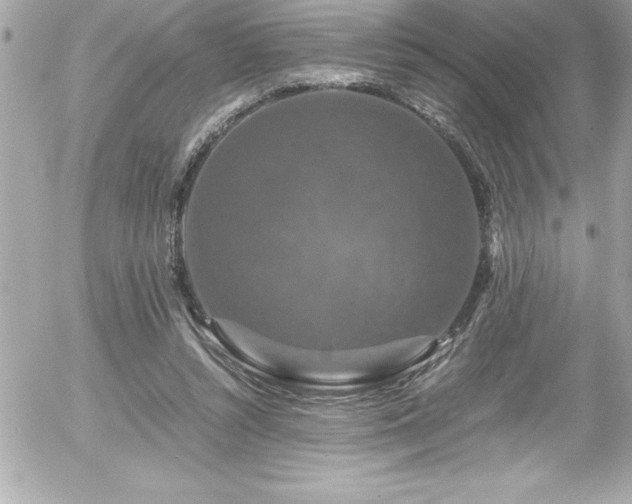 X0000056000352200508191329