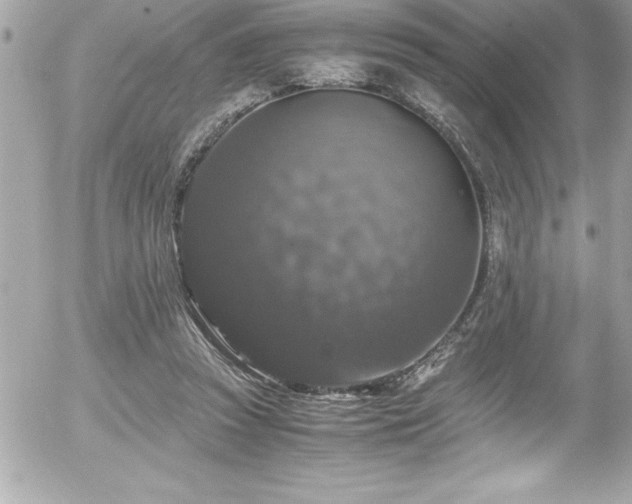 X0000056000353200508191329