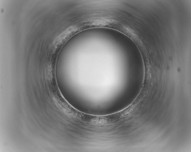 X0000056000354200508191329