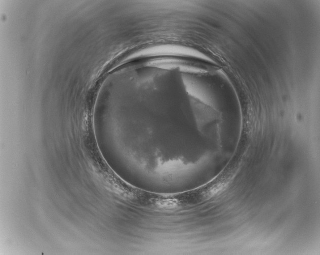 X0000056000355200508191329