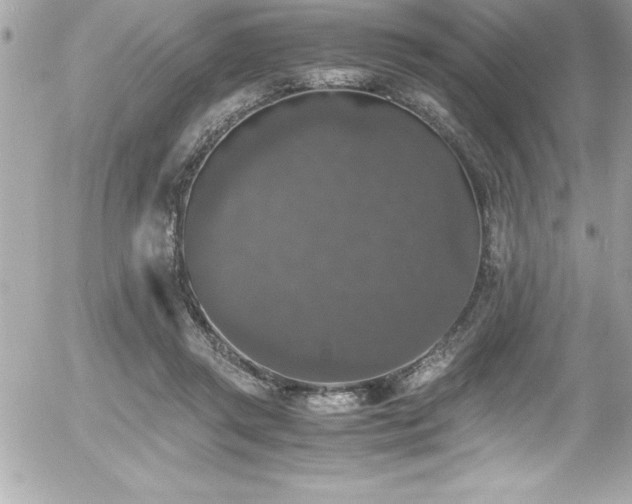 X0000056000357200508191329