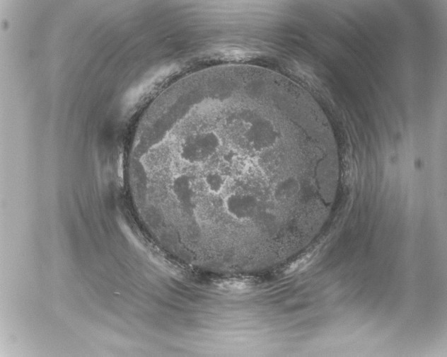 X0000056000358200508191329