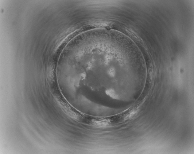 X0000056000359200508191329