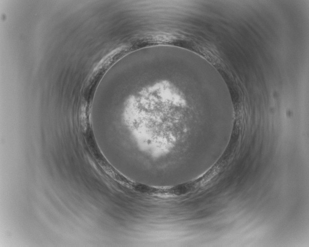 X0000056000360200508191330