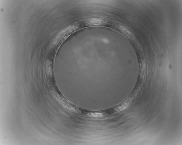 X0000056000361200508191330