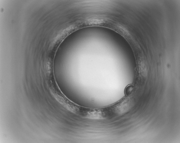 X0000056000362200508191330