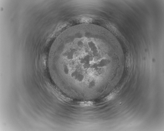 X0000056000363200508191330